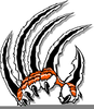Claw Clipart Image