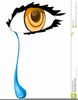 Free Clipart Of Teardrops Image