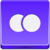 Flickr Icon Image