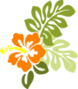 Hibiscus Clip Art