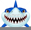 Pictures Cartoon Shark Clipart Image