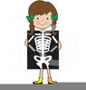 X Ray Technician Clipart Image