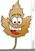 Cartoon Fall Leaves Clipart Image