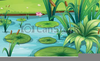 Fish Pond Clipart Image