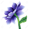 Violet Flower Clipart Image