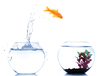 Fish Bowl Jumping Leap Day Image