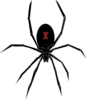 Black Widow Spider Clip Art