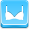 Bra Icon Image