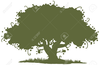 Live Oak Clipart Image