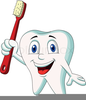 Cute Dental Clipart Image