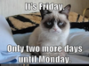 Grumpy Cat Friday Image