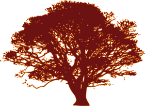Orange Background Tree Clip Art