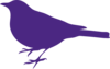 Purp Bird Clip Art