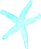 Starfish Prints Clip Art