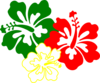 Saturated Hibiscus Flowers Clip Art