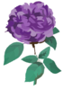 Purple Flower Clip Art