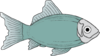 Fish Clip Art