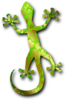 Gecko 3 Clip Art