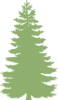 Tree Silhouette - Light Green Clip Art