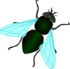 Green House Fly Clip Art