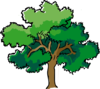 Oak Tree Clip Art