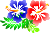 Hibiscus Clip Art