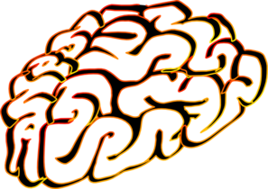 Brain  Clip Art