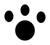 Animal Paw Print White Clip Art