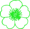 Green Buttercup Clip Art