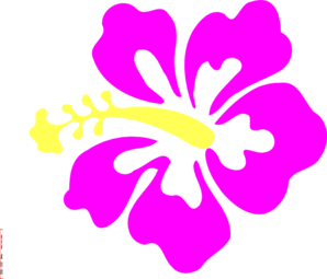Coral Hibiscus Clip Art