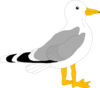 Pelican Clip Art