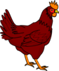 Chicken Clip Art