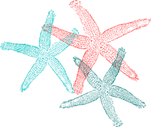 Multiple Starfish Clip Art