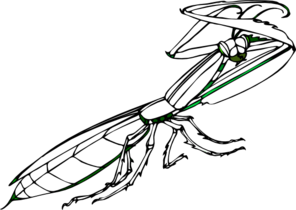 Praying Mantis Clip Art