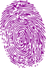 Purple Fingerprint Clip Art