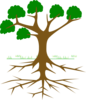 Tree Clip Art