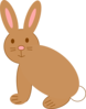 Brown Rabbit Clip Art