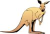 Kangaroo Clip Art