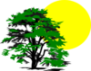 Sun And Tree Clip Art