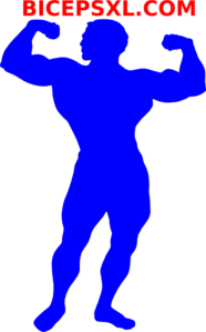 Bicepsxl.com Clip Art