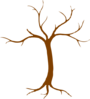 Tree Clip Art