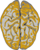 Nmc Brain Clip Art