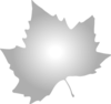 Grey Maple Leaf Clip Art