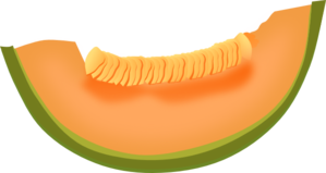 Cantaloupe Slice Clip Art