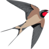 Sparrow  Clip Art