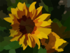 Sunflower Clip Art