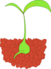 Seedling Clip Art