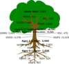 Dodd Tree 2 Clip Art