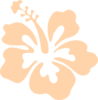 Hibiscus  Clip Art