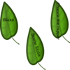 Leaves Now And Then Clip Art